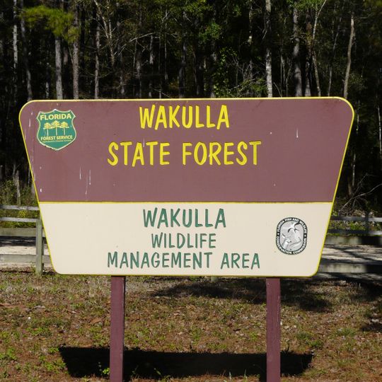 Wakulla State Forest