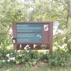 Wicomico Demonstration Forest