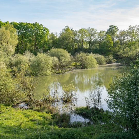 NSG Nieheimer Tongrube