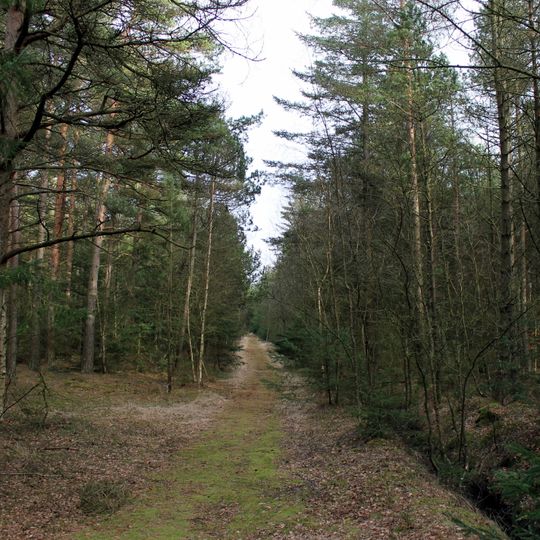 Natura 2000-område nr. 5 Uggerby Klitplantage og Uggerby Å's udløb