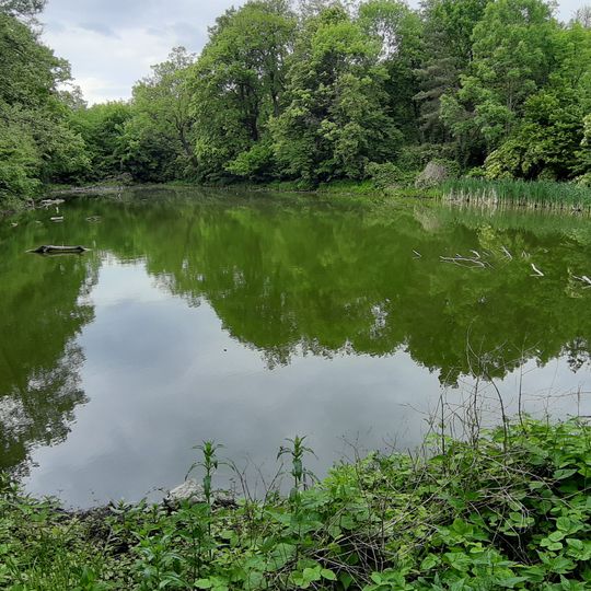 Park in Kłudno Stare