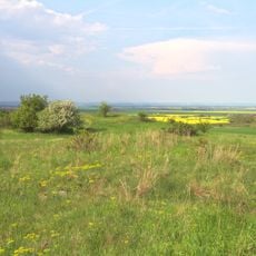 Vršky pod Špičákem