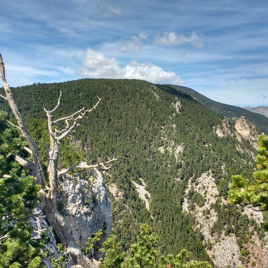 Monte Cornat