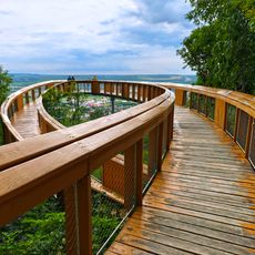 Lombkorona tanösvény