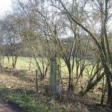 Kříž jižně od Jeníkovic