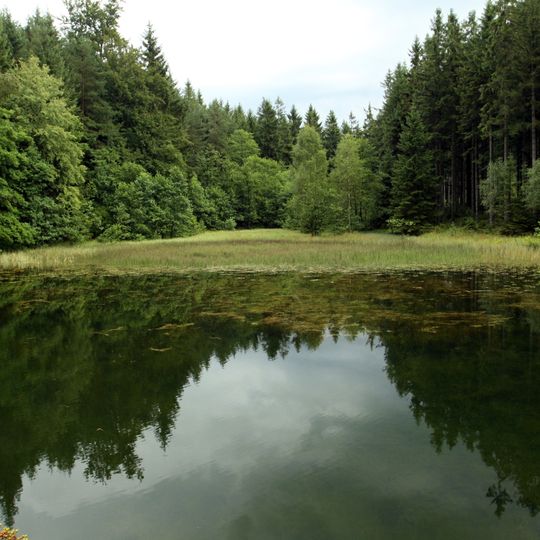 Rybník u Králova mlýna