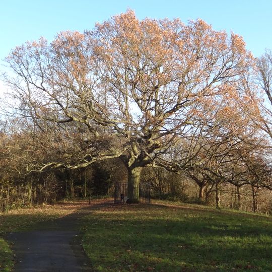 One Tree Hill, Honor Oak