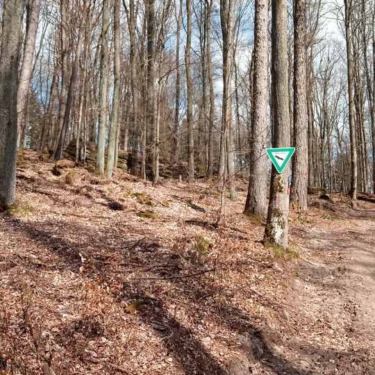 Hoher Stein Stadter Wald I/1