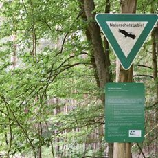 Willersinn'sche Grube bei Dietzenbach