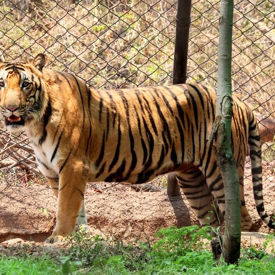 Sri Venkateswara Zoological Park