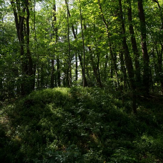 Teilbereich der Kuruzzenschanze in Dedenitz