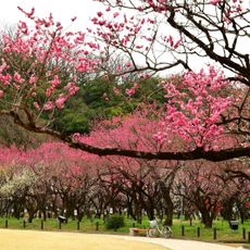 Bairin Park