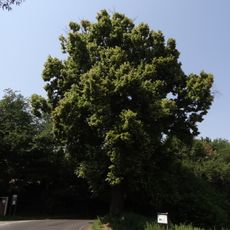 Sousoší svaté Anny a Panny Marie