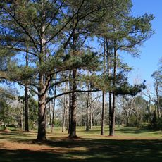 Acclimatisation Society gardens, Lawnton
