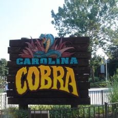 The Flying Cobras