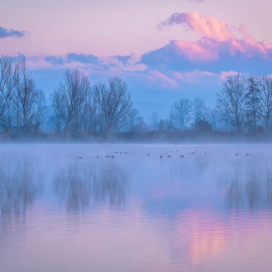 Bonifica della Gherardesca