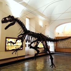 Paleontology museum of Naples