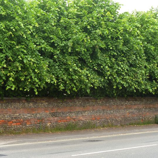 Wall In Front Of Linden Lodge