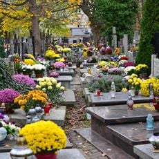 Czerniaków Cemetery