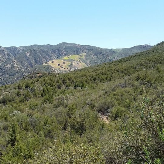 Santa Ana Mountains