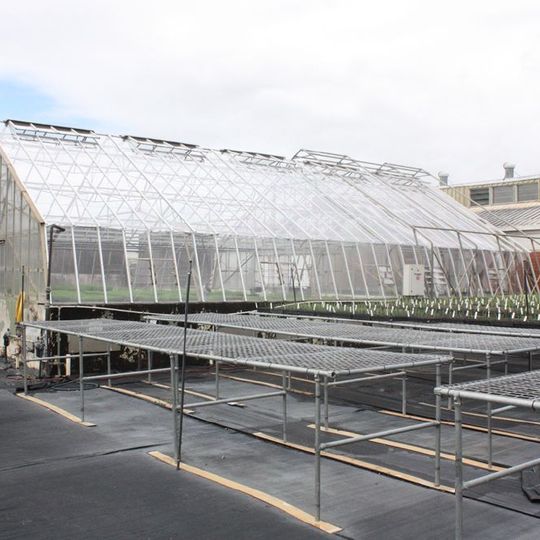 Meringa Sugar Experiment Station