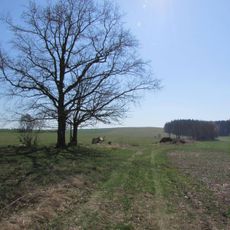 Kříž pod Šibenným vrchem u polní cesty mezi Červenou Řečicí a Bácovicemi