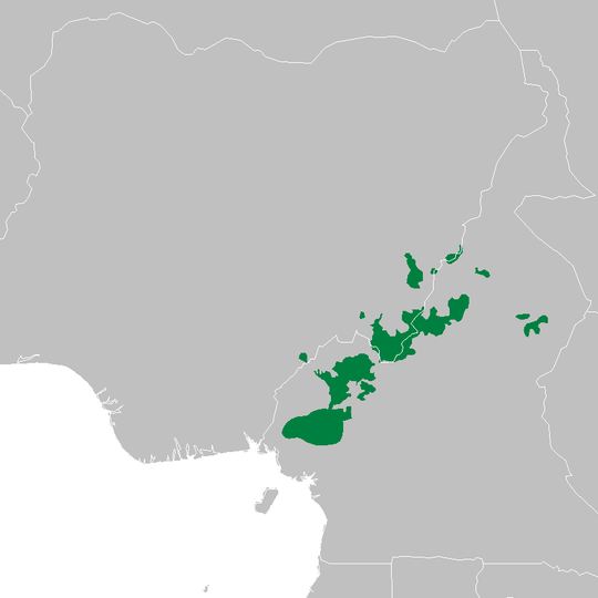 Cameroonian Highlands forests