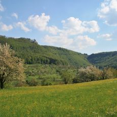 Rezerwat Biosfery Jury Szwabskiej
