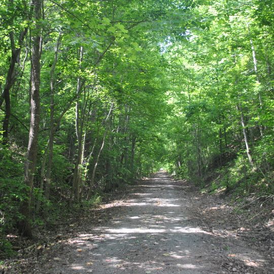 Sulphur Trestle Fort Site