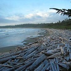 Pacific Rim National Park Reserve