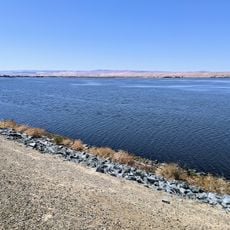 Clifton Court Forebay