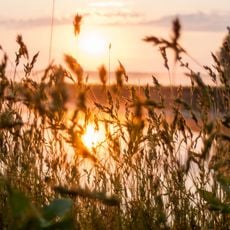 Mezynsky National Nature Park