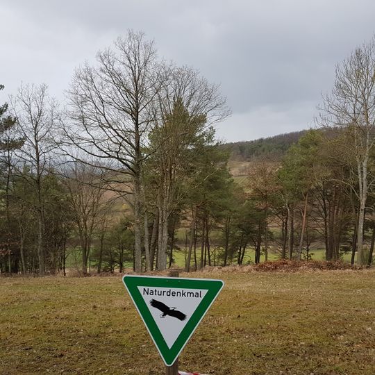 Naturdenkmal Gipsbruch Königshofen Österliche Zeit - Kirchberg