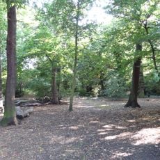 Ainslie Wood