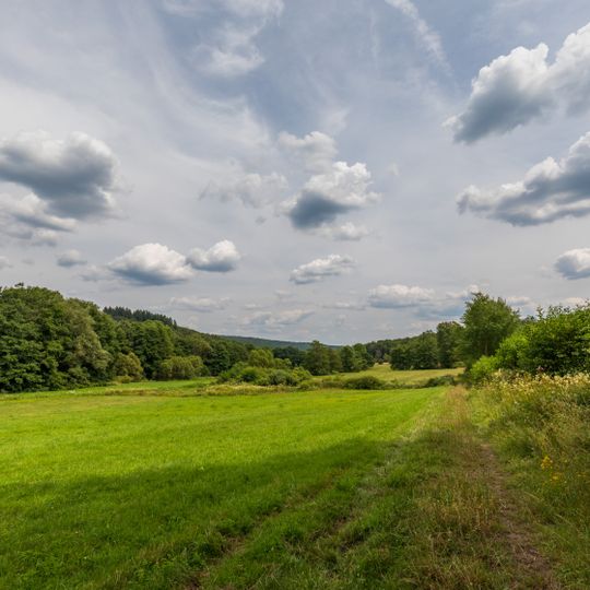 Kallenbachtal bei Arborn und Nenderoth