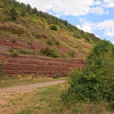 Ustechko profile of Lower Devonian