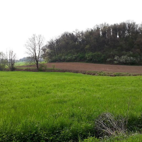 Parco Colline Moreniche di Castiglione