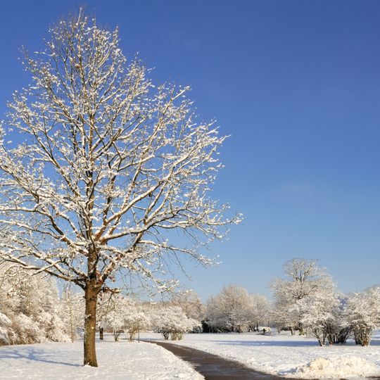 Landschaftspark Grütt