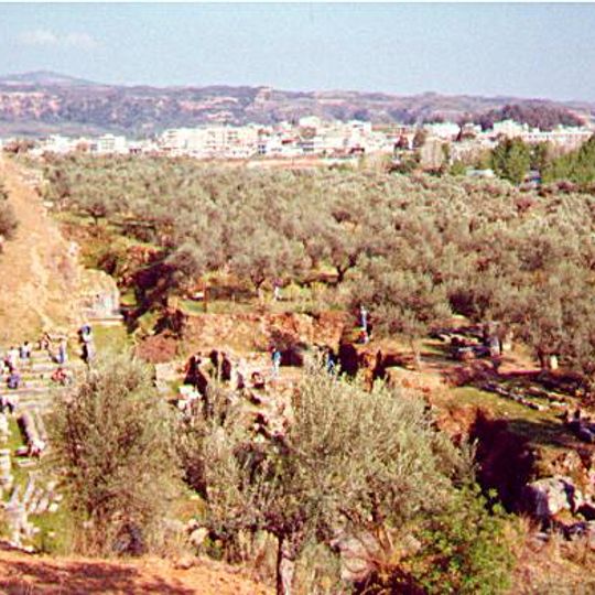 Sparta