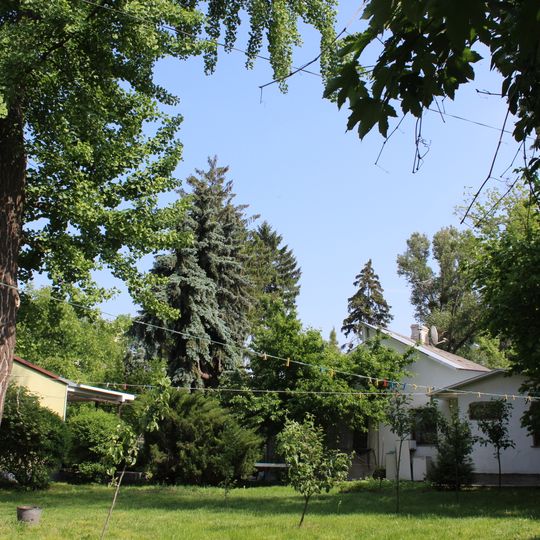 Gruppe seltener Bäume