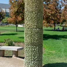 Totem