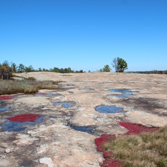 Arabia Mountain