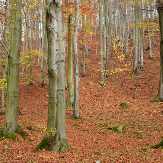 Východní Krušnohoří