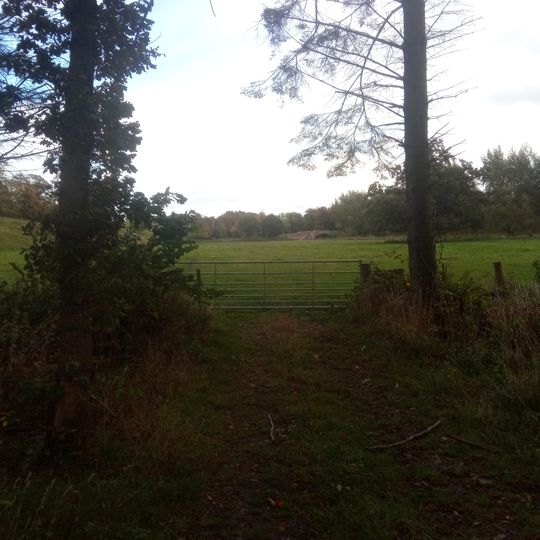 Park Bridge, Riddell