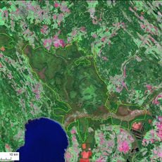 Reserva natural Alam-Pedja