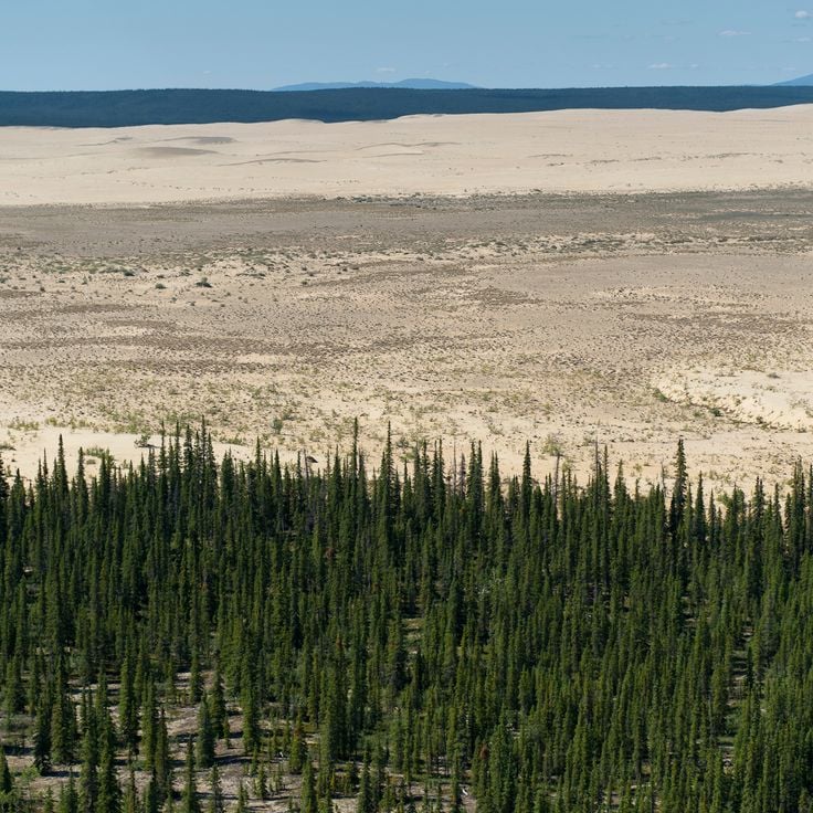 Kobuk Valley Sand Dunes