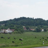Dunovice