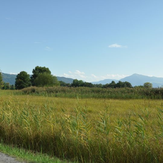 Sumpf, spätbronzezeitliche Seeufersiedlung