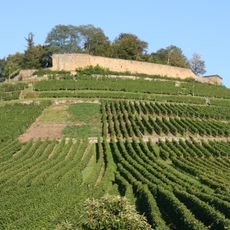 Burgberg mit Weibertreu