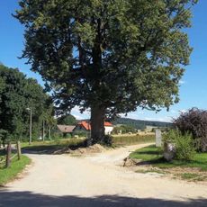 Kříž u Deštné u rozcestí